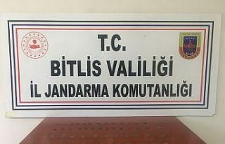 Tatvan’da 50 adet gümüş sikke ele geçirildi
