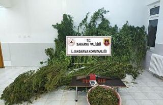 Tavuk çiftliğini ve evini uyuşturucu üretimhanesine...