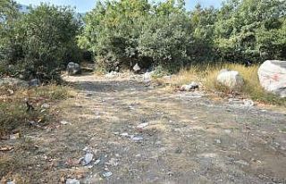 Temiz çevre için çöp topladılar