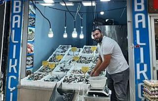 Tezgahlar balık çeşitleriyle şenlendi