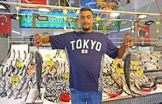 Tezgahlar istavritle doldu, balıkçılar palamut...