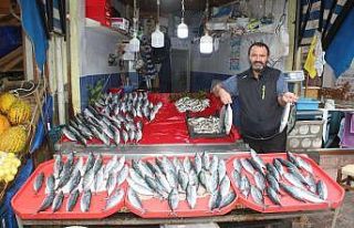 Tezgahları hamsi ve palamut süslüyor