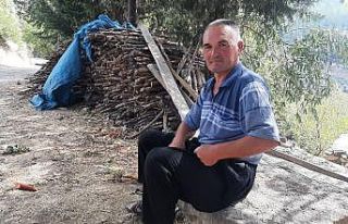 Tilki ile çobanın şaşırtan dostluğu