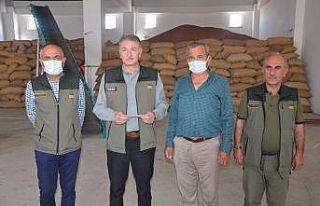 TMO Genel Müdürü Güldal: “Üreticilerimiz taban...