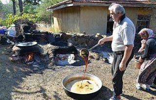 Toroslar’da pekmez kazanları kaynıyor