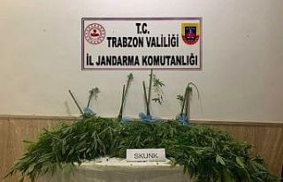 Trabzon’da jandarma ekiplerinin uyuşturucu ile...
