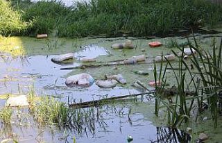 Tunca Nehrinde ödüllü çöp toplama etkinliği
