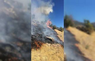 Tunceli’de çıkan yangın kontrol altına alındı