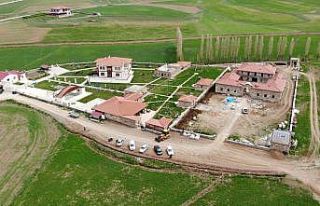 Türkiye genelinde müze sayısı 2020 yılında yüzde...