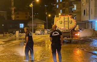 Uludere caddelerinde hummalı çalışma