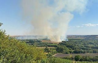 UNESCO Dünya Mirası Listesi’nde yer alan Diyarbakır’daki...