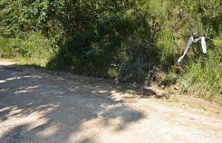 Ünye’de ormanlık alanda işlenen cinayetin zanlısı...