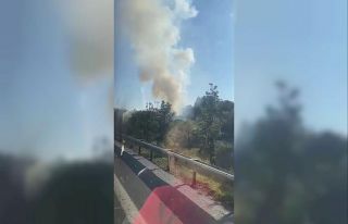 Üsküdar’da ağaçlık alanda korkutan yangın