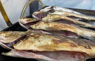 Ustasından balık pişirme tüyoları