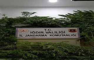 Uyuşturucu kaçakçılarına geçit yok