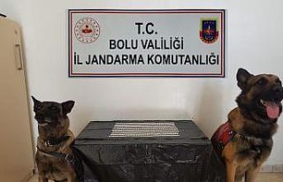 Uyuşturucuyla yakalanan yabancı uyruklu şahıs...