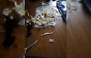 Uyuşturucuyu sarımsağa sarıp kargoyla gönderdiler