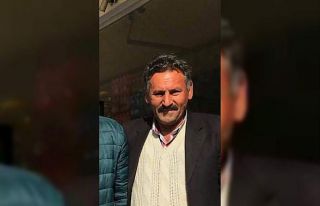 Üzüm toplamak isterken ağaçtan düşüp öldü