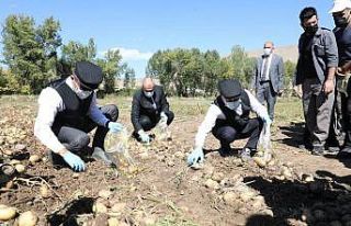 Vali Memiş ile Belediye Başkanı Sekmen kasket takıp...