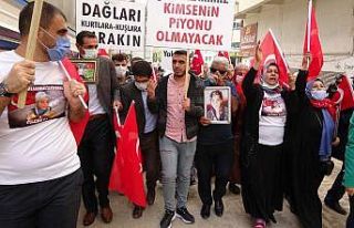 Van annelerinin evlat nöbeti kararlılıkla sürüyor