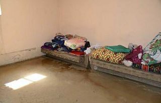 Van’da selin yaraları sarılıyor