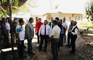 Vatandaş talep etti, başkan mahalle yolunu yaptırdı