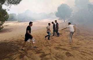 Vatandaşlar ellerinde dallar ve yerden topladıkları...