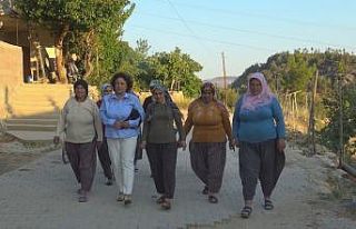 Vekil öğretmenlik yaptığı köye gelin geldi,...