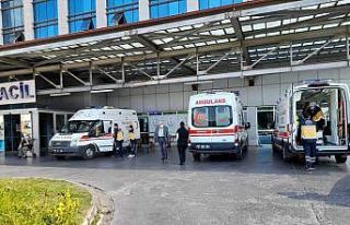 Virajı alamayan kamyonet ormana uçtu