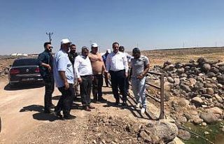 Viranşehir kırsalında asfalt çalışması