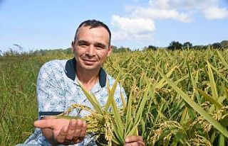 Yağış kimine felaket kimine bereket oldu