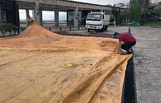 Yağışlar fındık üreticilerini olumsuz etkiledi