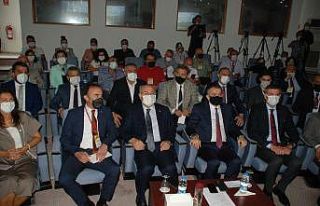 Yanan alanlar için 252 milyon fidan toprakla buluşacak