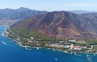 Yanan alanlarda kesim çalışmaları başladı