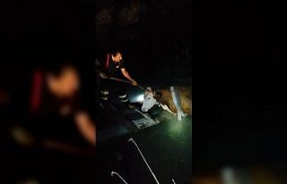 Yangın söndürme havuzuna düşen ineği itfaiye...