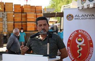 Yangında kovanları zarar gören 23 arıcıya ücretsiz...