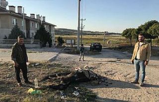 Yaralı atı ölüme terk ettiler