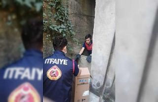 Yaralı kedinin imdadına itfaiye yetişti
