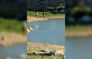 Yasağı dinlemediler, Sazlıbosna Barajı’nda ağ...