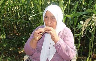 ’Yaşayan İnsan Hazinesi’nin mütevazı hayatı