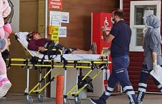 Yaşlı kadın köpeklerin saldırısına uğradı