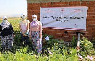 Yeni geliştirilen fasulye çeşitleri kadın çiftçilere...