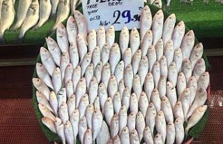 Yeni sezonda balıklar tezgahlardaki yerini aldı