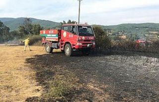 Yenice’de anız yangını