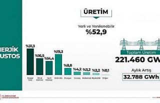 Yerli ve yenilenebilir kaynakların üretimdeki payı...