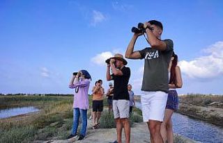 Yeşil arı kuşu 31 yıl sonra Mileyha’da görüldü