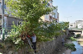 Yıldırım’ın dereleri temizleniyor