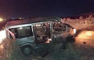 Yola çıkan at zincirleme kazaya neden oldu: 2’si...