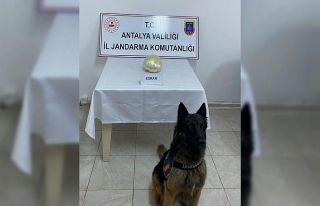 Yolcu otobüsündeki uyuşturucuyu narkotik köpeği...