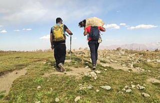 Yüksekovalı dağcılar, dağda buldukları oğlağı...